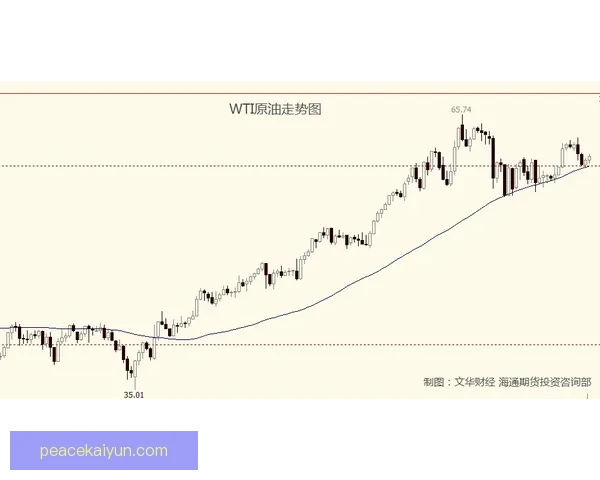 维尼修斯的成功秘笈：保持巅峰状态的训练与心态分析值得关注