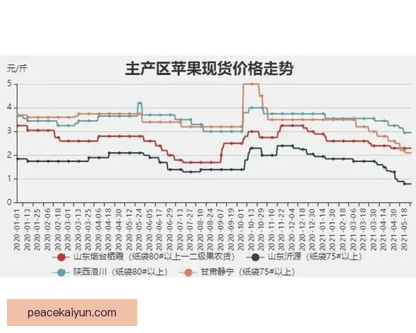 马里进攻数据持续提升，近期表现稳健引发关注