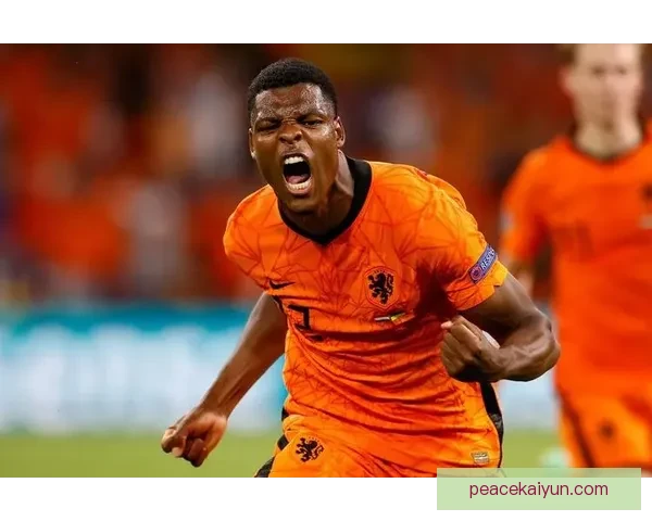 荷兰国家队阵容状态回暖,橙色战袍将在新赛季迎战劲敌 荷兰国家队阵容状态回暖,橙色战袍将在新赛季迎战劲敌